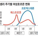 베스탑비뇨기과의원 이미지