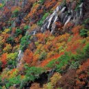 덕산면060 이미지