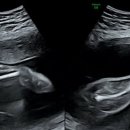 우리맘산부인과의원 이미지