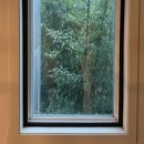 그마그로 이미지