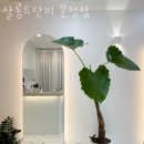 살롱드단비