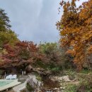 소금강 시즌펜션 이미지