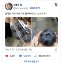 大王blueberry 이미지