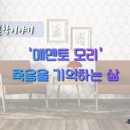 메멘토모리
