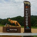 사인2리 이미지