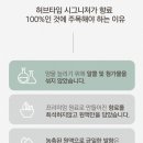 [ 허브타임디퓨저 ] 차량용방향제 차량용디퓨저 허브타임레드프룻디퓨저 라벤더 향 후기
