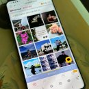 퍼니주니 이미지