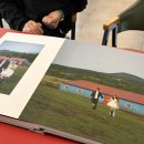 팀박피티샵 | 제주도 스튜디오 웨딩촬영 하다갤러리 드레스 토탈샵까지 한 번에