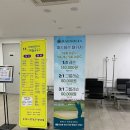 좋은 가성비 최고 해솔리아 파3 &amp; 인도어 내돈 내골 후기 (feat.쿠팡) 해솔리아파3 가격 정보 포함 ㅎㅎ