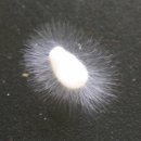 문화카인테리어 이미지