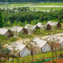 예촌농원 이미지