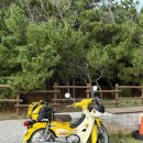 모토탑 | 모토 캠핑 필수가방! 로부 오토바이 클래식 방수백 리뷰