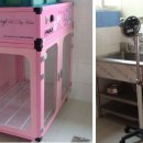 소.프랜드 이미지