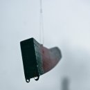 나무물고기 이미지