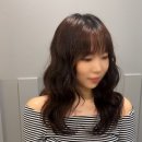 하브 선릉 이미지