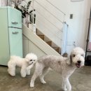 베니펫살롱 이미지