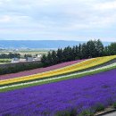 이스트팜 이미지