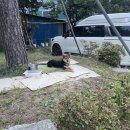 황용주유소 이미지