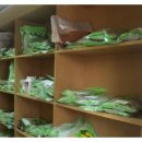 백호한의원 이미지