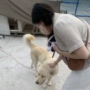 고성수산 이미지