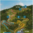 통영루지 이미지