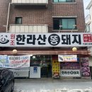 한라산똥돼지 이미지