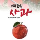 해울림마을 | 딜라이브 상생마켓 장수 AI로 분류한 영덕사과(부사)