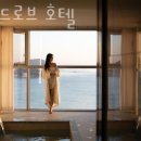 메르드로브 이미지