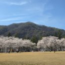 작은 숲 | 🎂 춘천 백일잔치 장소 추천 | 30명 이상 가능한 단체룸 “작은숲” 후기 (소규모 돌잔치 가능)