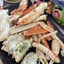 애견왕국 이미지