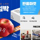 리퍼모아 이미지