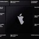 애플 피시 이미지