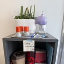 한국지엠강릉바로서비스 | 강릉 초당순두부마을 카페 추천｜동화가든 근처 초당커피 -시그니처 후기