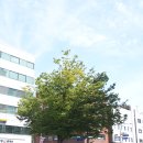 명일고시원
