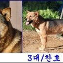 청림견사 이미지