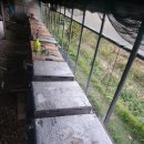 광산구-010 이미지