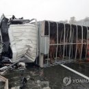 냉정JC(부산) 이미지