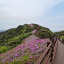 강화 고려산 진달래축제 백련사코스 후기