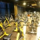 월드짐 휘트니스센터 이미지