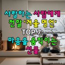 천년거북 희상 | 사랑하는 사람에게 전할 '겨울 명언' TOP 7: 마음을 움직이는 선물