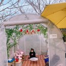 우재농장 | 서울 강서구 크리스마스 카페 - 플콤농장 플레이스콤마에서 불멍 하며 크리스마스 보내세요