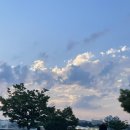 중로 한강2-8 | [서울/잠원] 한강신상웨딩홀 마레보인웨이브 하객후기 코스요리 남산타워뷰 한강뷰