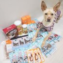 [견스페셜] 제로랩스✙맛과 기호성 강아지 간식이 한가득