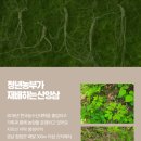 힐링팜 농업회사법인 주식회사 이미지