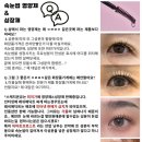 스케치온유 이미지