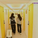 스테이청춘 이미지