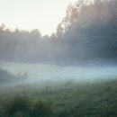 다시건강 이미지