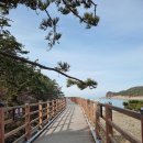 닭섬목장 이미지