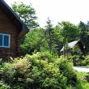 숲속의 집 이미지