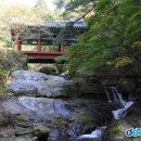 곡성 신기 티스토리